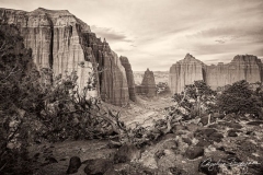 Cathedral Valley