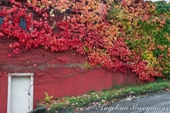 Fall-Wall