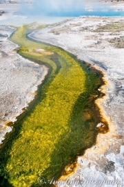 Green-River
