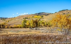 Autumn Hills
