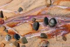 Painted Tide 1