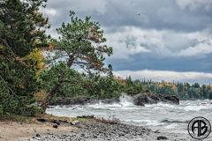 Stormy Lakeshore