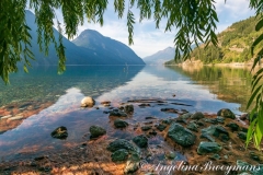 Anderson LakeMorning