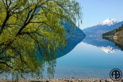 Anderson Lake Morning