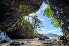 Cape Scott Cave