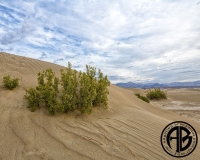 Death Valley Dunes