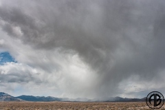 Desert Rain