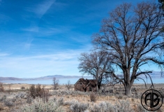 Honey Lake 2020