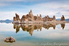Mono Lake