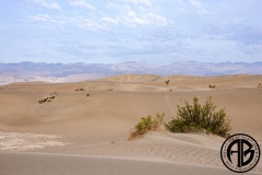 Morning On The Dunes