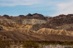 Painted Desert