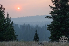 Smoky Summer