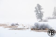 Snowy Mamette Lake