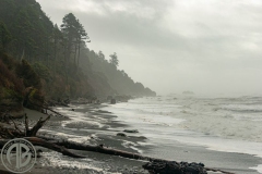 Stormy Olympic Coast