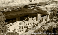 Mesa Verde