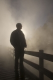 Misty Morning