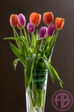 Tulip Vase
