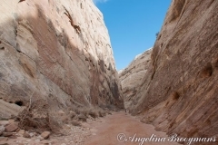 Capitol Reef Canyon