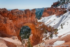 Natural Bridge