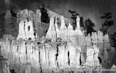 Rockthedral