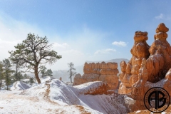 Snowy Bryce