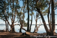 Calm After the Storm