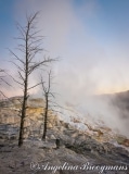 Mammoth Sunrise